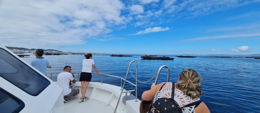 La Toja: Boat Tour at the Arousa Estuary With Mussel Tasting