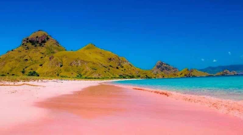 Labuan Bajo: Day Trip 6-Points Komodo Islands With Speedboat - Tour Overview