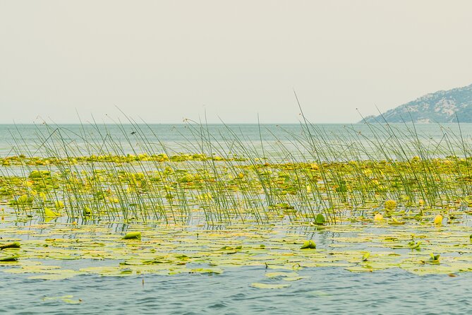 Lake Skadar Guided Tour: Discover the Montenegrin Alcatraz