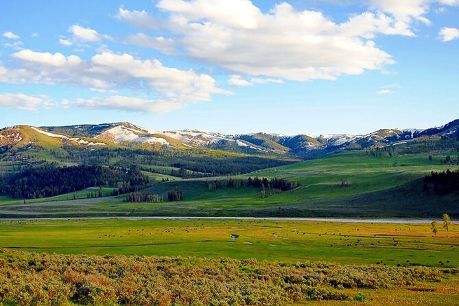 Lamar River Valley Day Hike Tour
