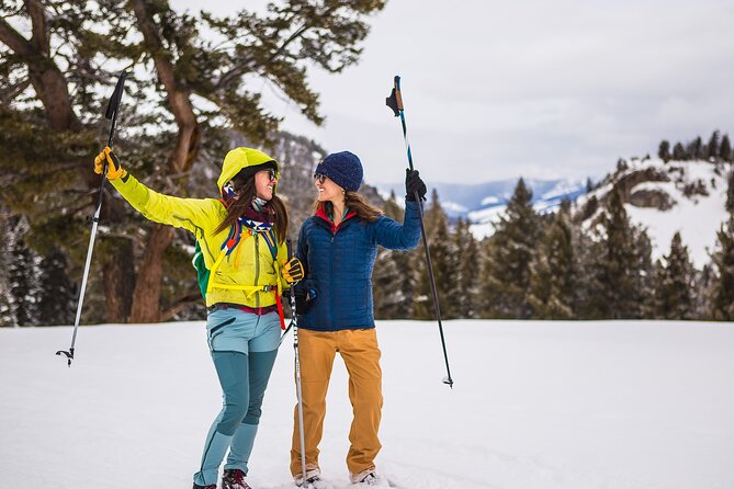 Lamar Valley: Winter Wildlife Safari + Lunch | Bozeman | PRIVATE