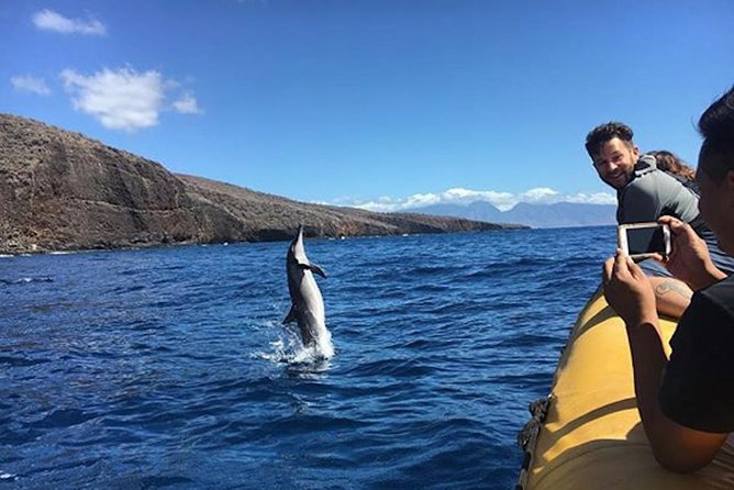 Lanai Deluxe Dolphin Adventure & 3 Snorkel Sites - Majestic Dolphin Encounters