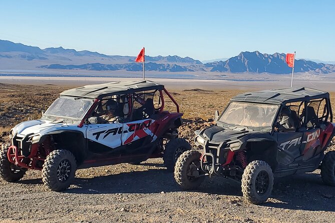 Las Vegas Desert Buggy Experience