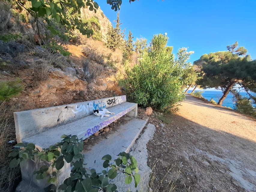 Laugh With Nafplio in Nature