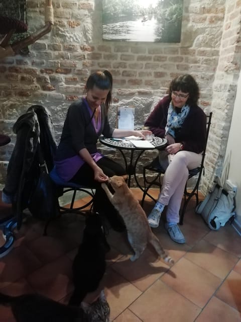Learn Czech With Cats