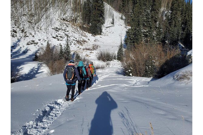 Learn to Ice Climb! Half-Day All Abilities Near Breckenridge