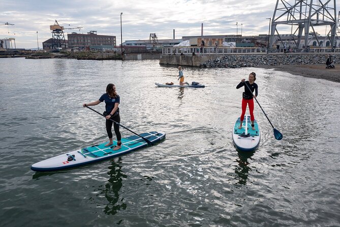 Learn to Paddle Board on the San Francisco Bay! - Overview of the Stand-up Paddleboard Lesson