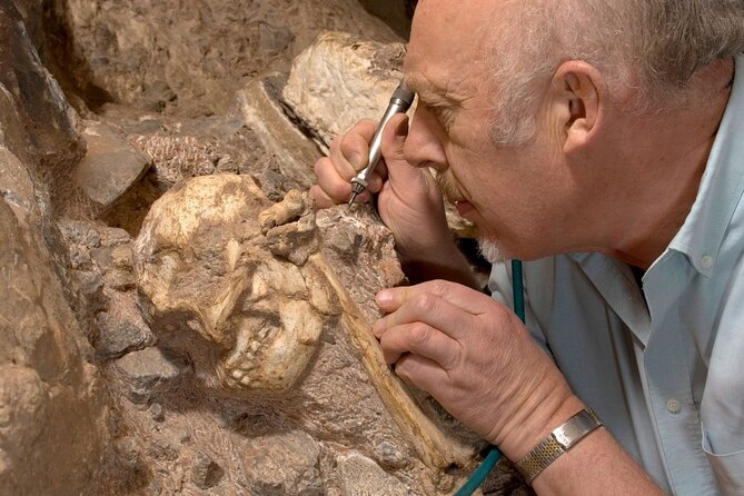 Lesedi Cultural Village & Cradle of Humankind