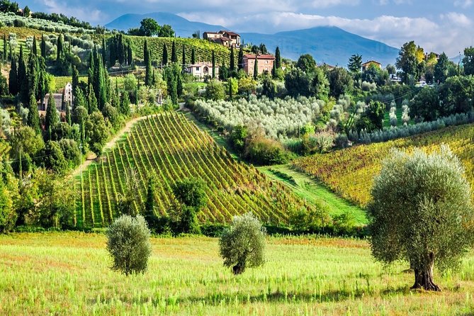 Livorno Port ShorExcursion: Montalcino Pienza Tuscany Wine&Cheese