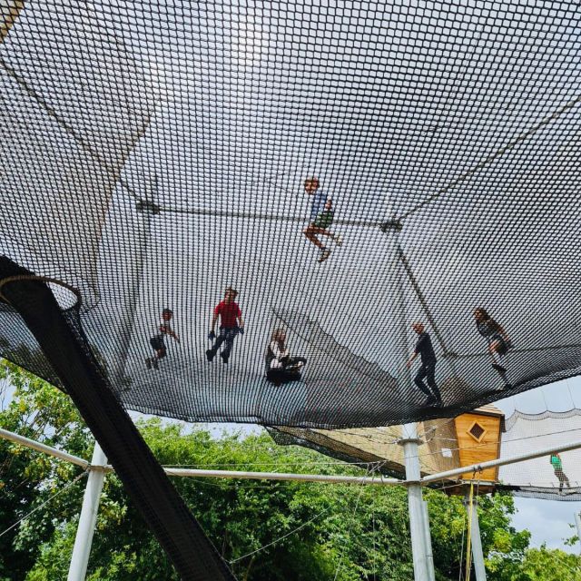 London: Gripped Aerial Park All-Access Entry Ticket