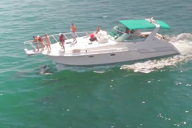 Los Angeles: 1 Hour Group Yacht Cruise -(1 Ticket Covers 1-6 Ppl) - Cruise Overview