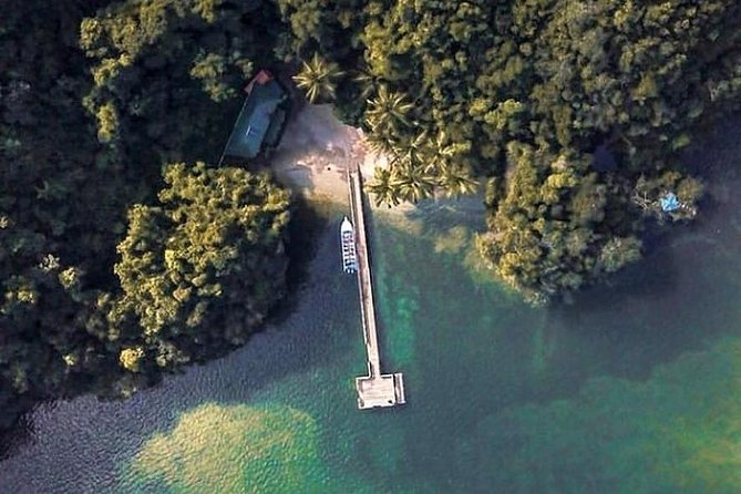 Los Haitises National Park Private Boat Trip Caves and Mangroves