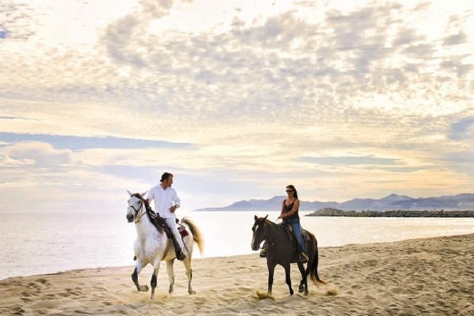 Love Is in the Air! Private Horseback Ride on the Beach and Sunset Dinner! - Experience Overview