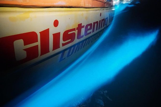 Luminous Lagoon Boat Tour From Montego Bay