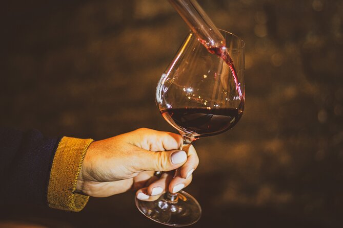 Luxurious Wine Tour in Burgundy - Overview of the Wine Tour