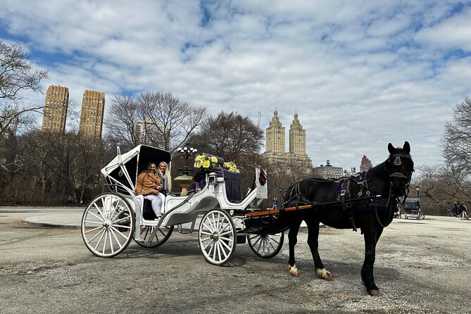 Luxury Horse and Carriage Tours in Central Park - Meeting and Pickup