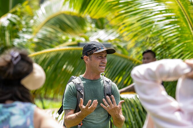 Macnut Tour, Picnic Lunch and Maui Bees - The Sustainable Farming Experience