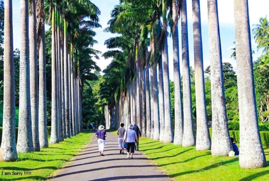 Magical Journey to Kandy & Pinnawala From Bentota/ Kalutara