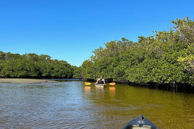 Manatees, Grasslands and Mangroves Kayak Tour (Small Group Tour)