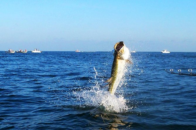 Marathon Tarpon Fishing Charter