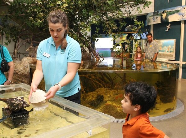 Marco Island Mangrove Tunnel and Maze Adventure Small Group Size