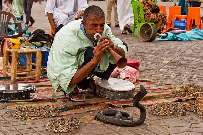 Marrakech 3-Hour Walking Tour