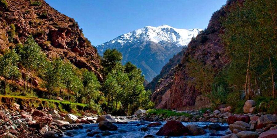 Marrakech: Agafay Desert, Camel Ride, and Berber Villages
