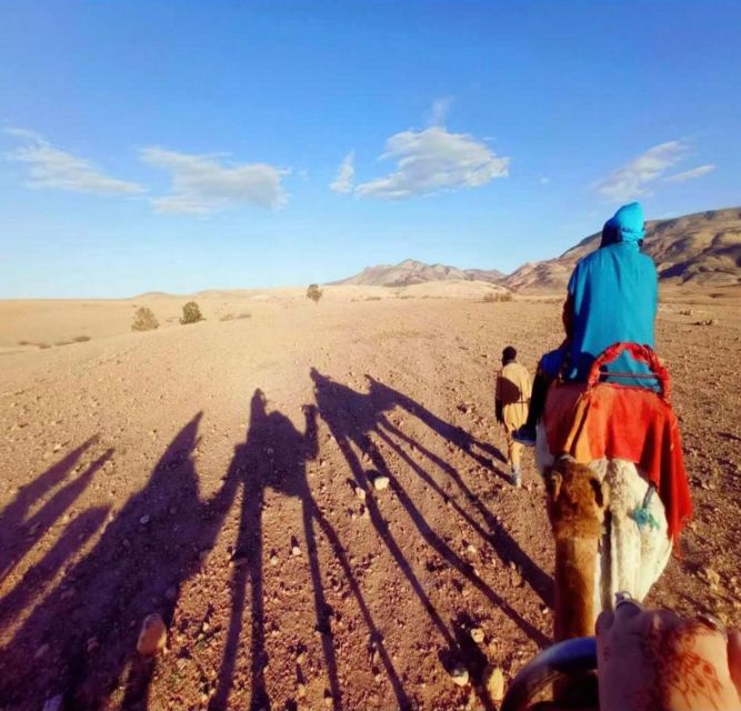 Marrakech: Agafay Desert Evening Trip Under the Stars - Trip Overview and Details