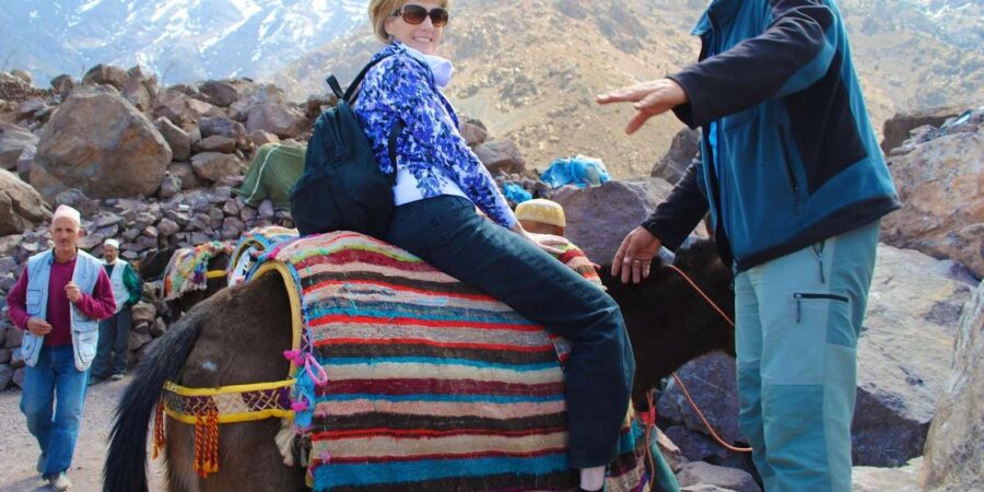 Marrakech: Atlas Mountains Family Day Trip With Mule Ride