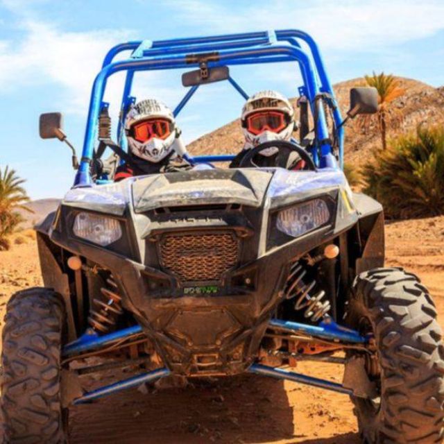 Marrakech: Buggy Drive in the Palm Groves