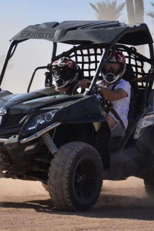 Marrakech: Buggy Ride in the Palm Groves