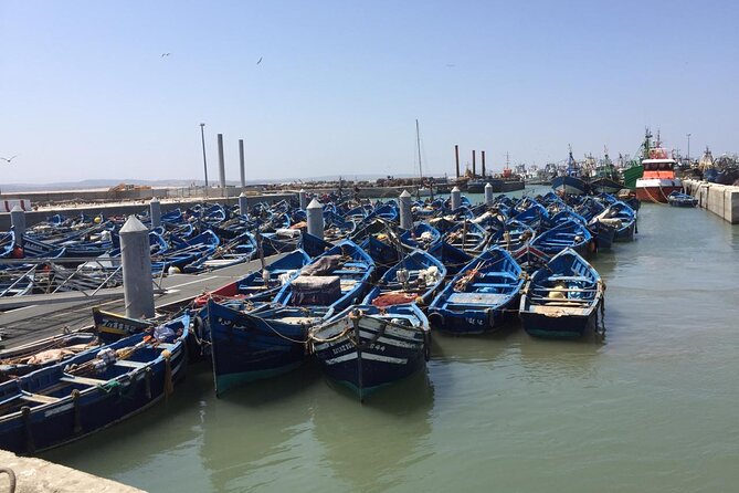 Marrakech Day Trip to Essaouira - Horseback, Camel Ride, ATV on the Beach - Overview of the Day Trip