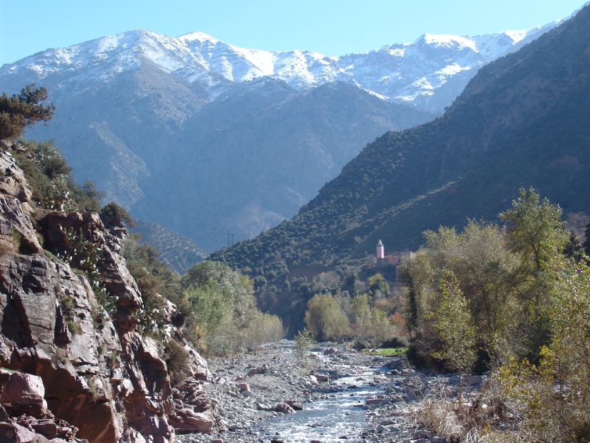 Marrakech: Day Trip to Ourika Valley and Setti Fadma