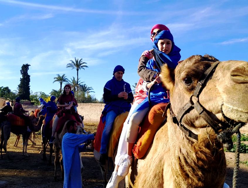 Marrakech: Half-day Dunes Trip With Buggy and Camel Ride - Trip Overview and Pricing