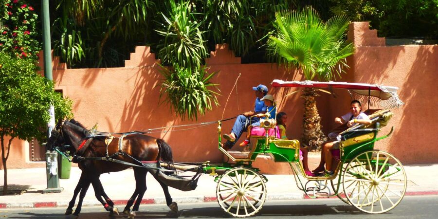 Marrakech: Majorelle & Menara Gardens Tour by Carriage Ride