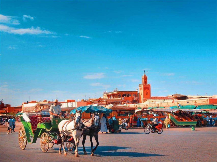 Marrakech: Majorelle & Menara Gardens Tour & Carriage Ride