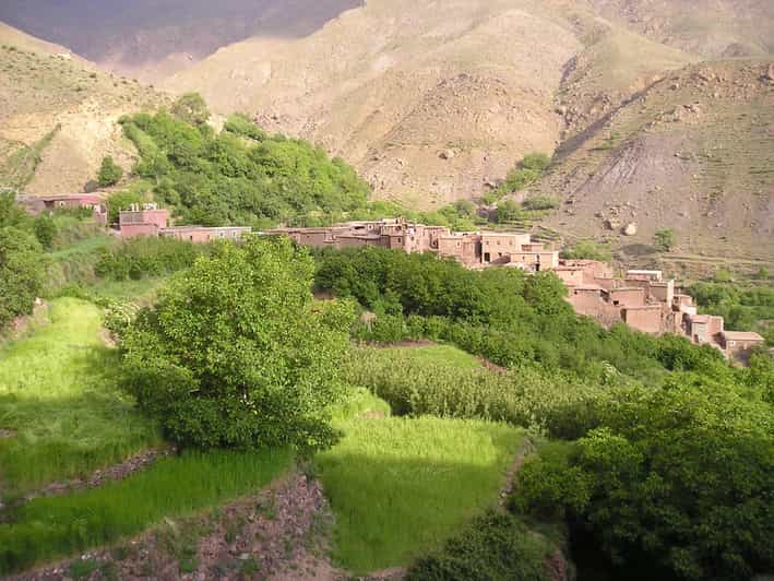 Marrakech: Ourika Valley, Atlas Mountain, Waterfall Day Trip