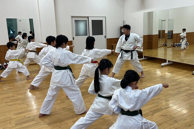 Master the Art of Karate Dynamics