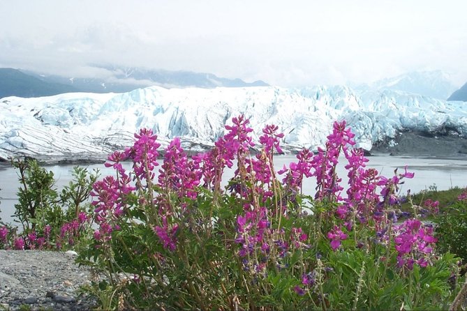 Matanuska Glacier Summer Tour