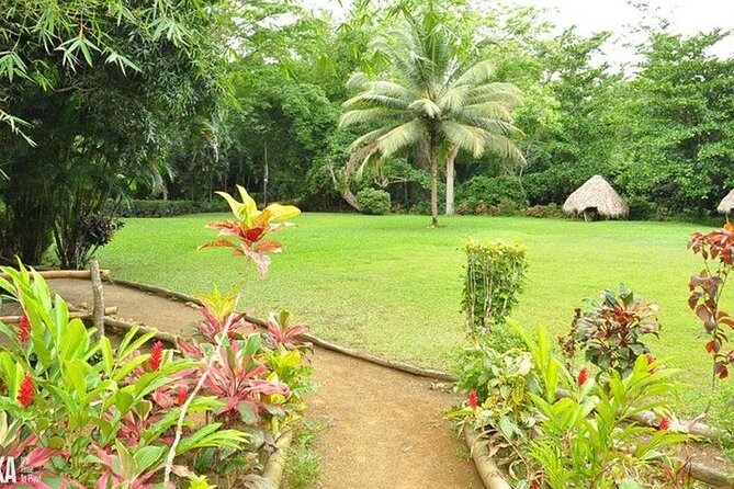 Mayfield Falls and Benta Falls Private Tour