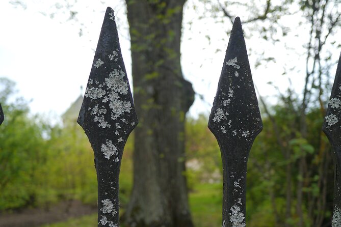 Medieval Horror, Undead and Dark Folklore Walk Uppsala City – Open Tour