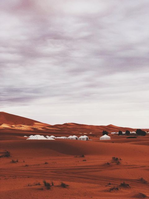 Merzouga: Desert Overnight In Luxury Tent & Sandboarding