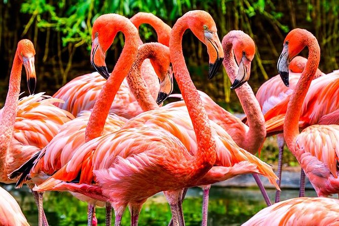 Miami Sightseeing Day Pass Review: Explore More