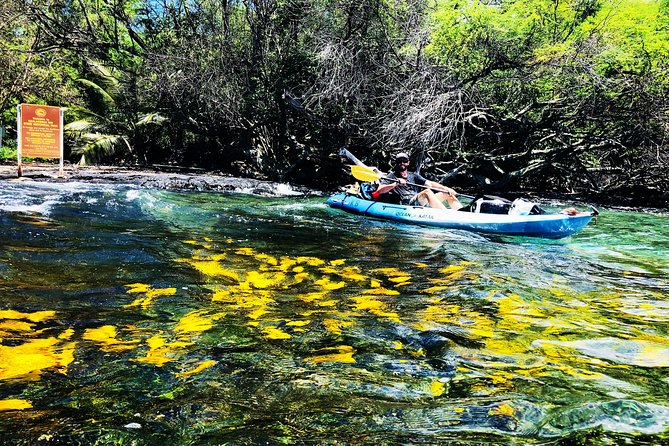 Midday Meander – Kealakekua Bay Kayak and Snorkel Adventure