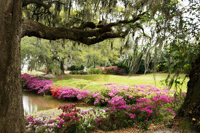 Middleton Place Tour With Lunch and Transportation