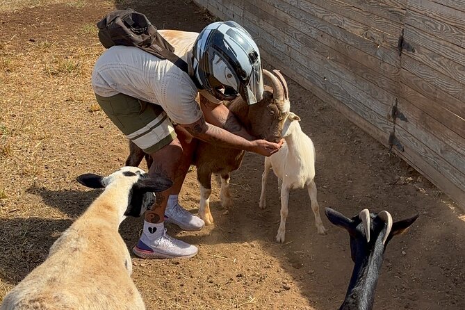 Mini ATVs and Farm Animal Experience - Whats Included