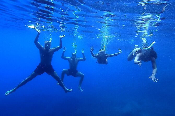 Mljet National Park – Private Boat Excursion From Dubrovnik