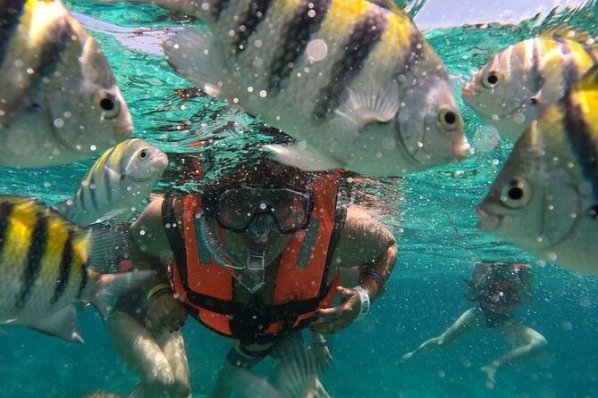 Montego Bay Tropical Bliss Beach Private Tour