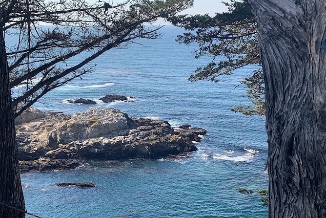 Monterey Carmel Big Sur Pebble Beach by Luxury Vehicle 5 Hrs~