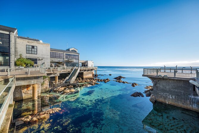 Monterey: Ocean Paradise Tour Review